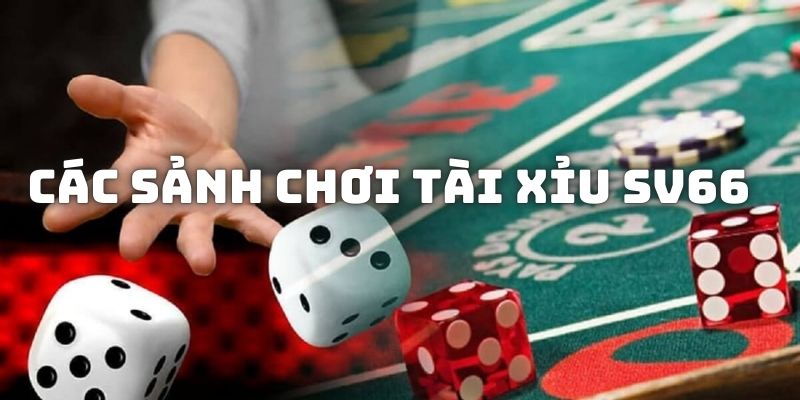 Giới thiệu top sảnh cược Over/Under trực tuyến được gamer ưa chuộng