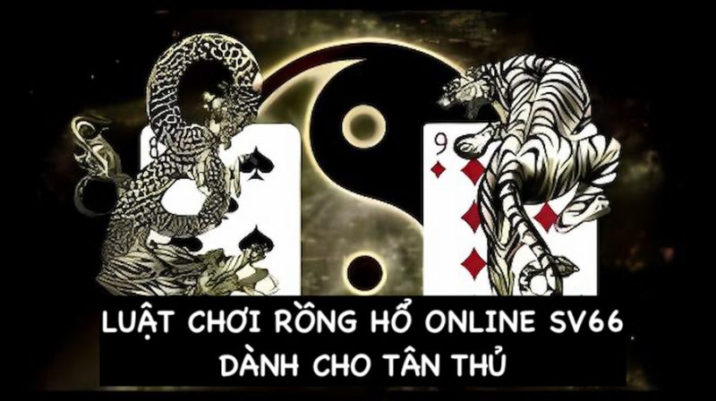 Hướng dẫn tân thủ cách để chơi Rồng Hổ Online